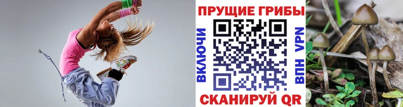 Псилоцибиновые грибы GOLDEN TEACHER  Камень-на-Оби 