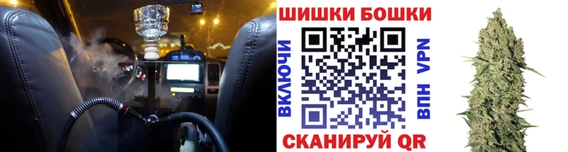 наркота Камень-на-Оби Каннабис индика